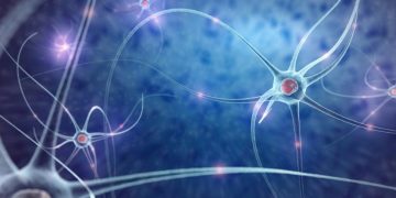 Shoulder Dystocia – Oren Zarif