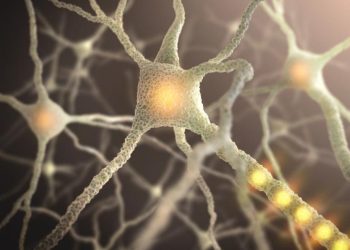 Shoulder Dystocia – Oren Zarif