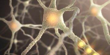 Shoulder Dystocia – Oren Zarif